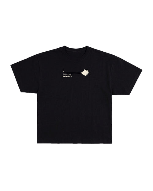Playera Palm Coordinates