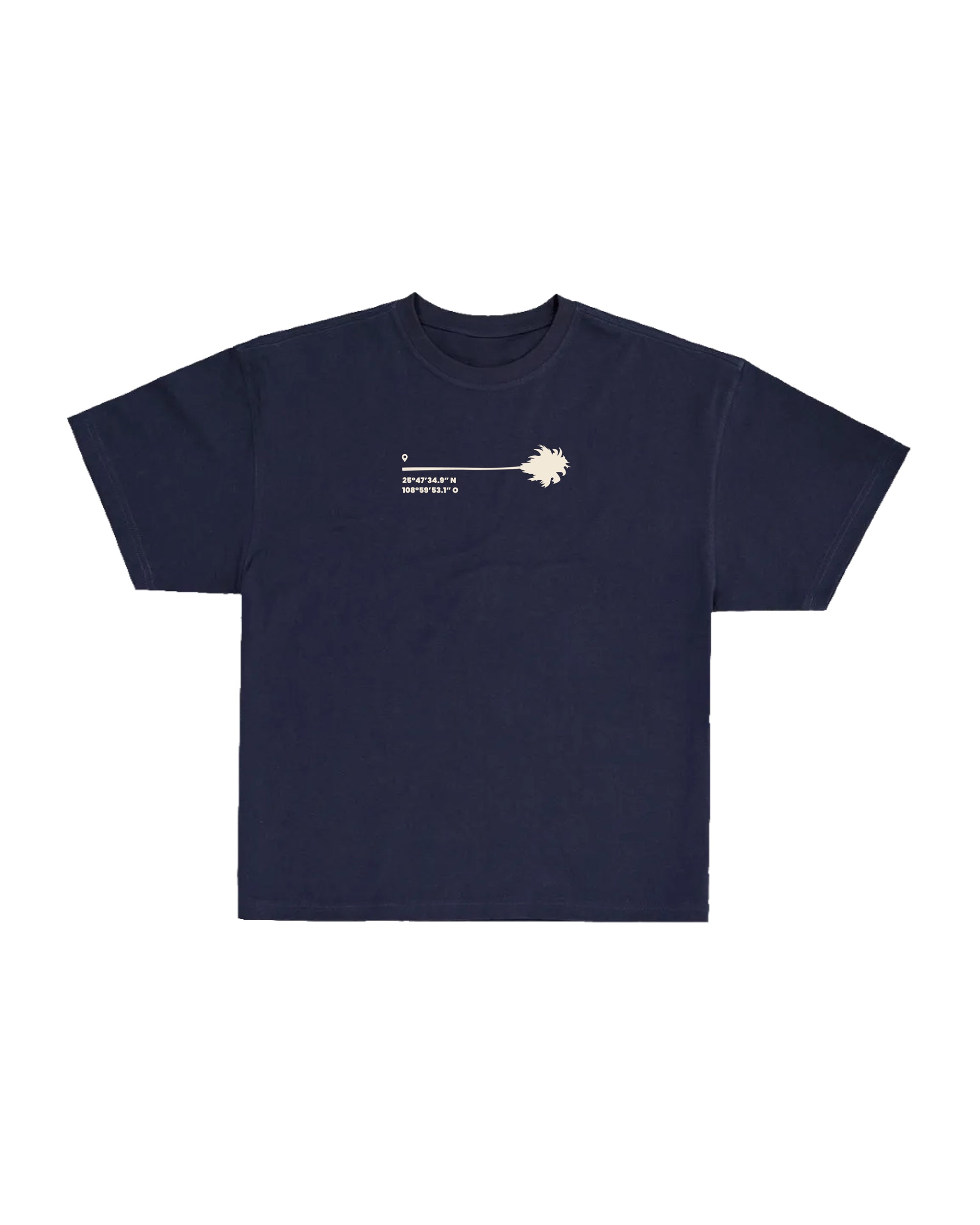 Playera Palm Coordinates