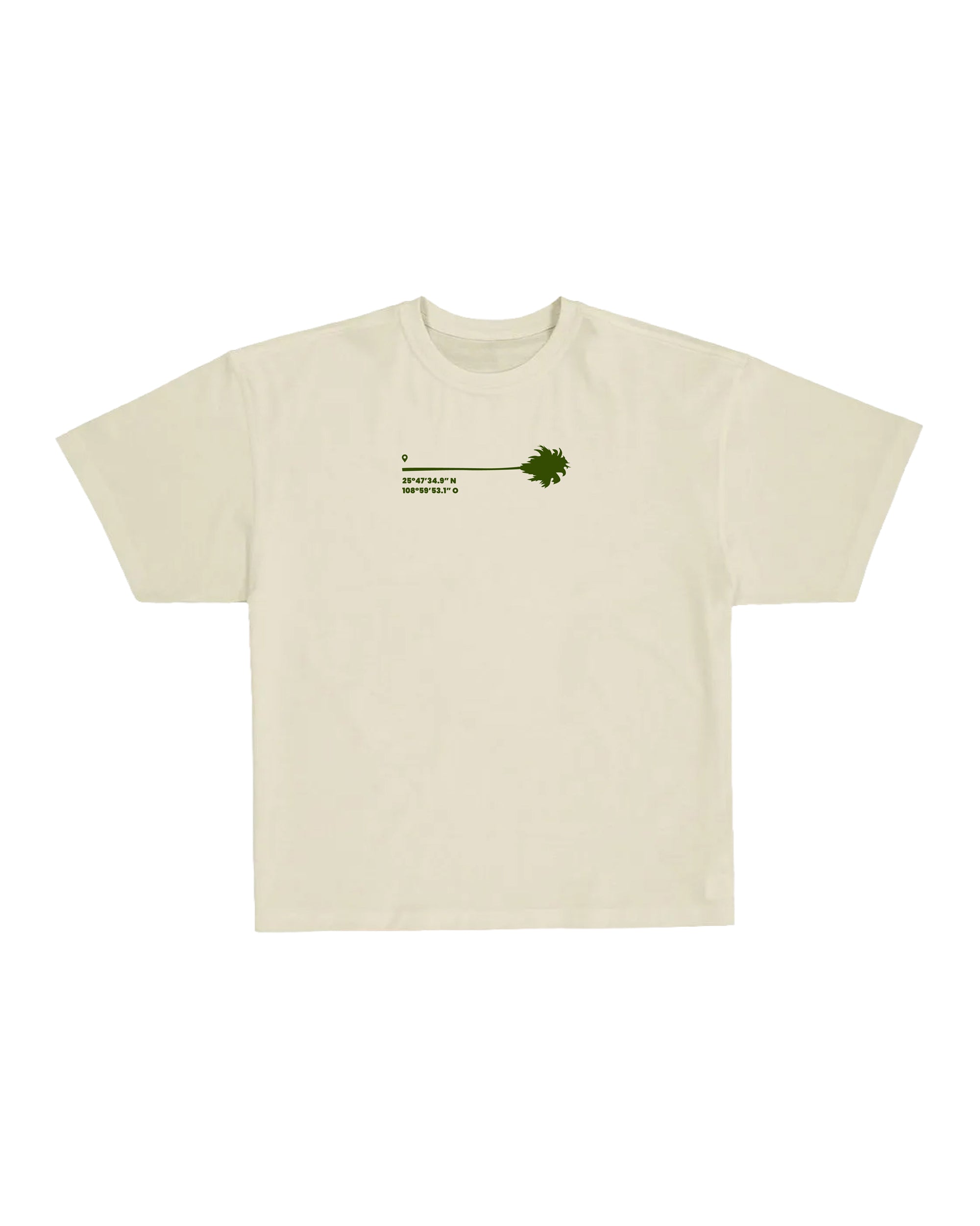 Playera Palm Coordinates