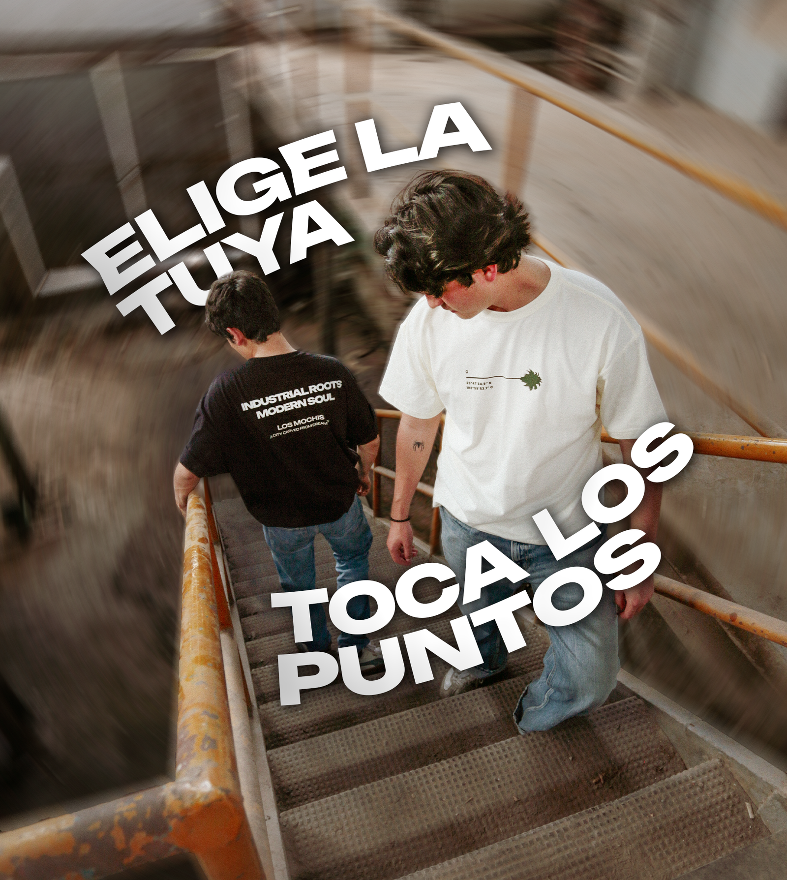 COMPRA POR ESTILO