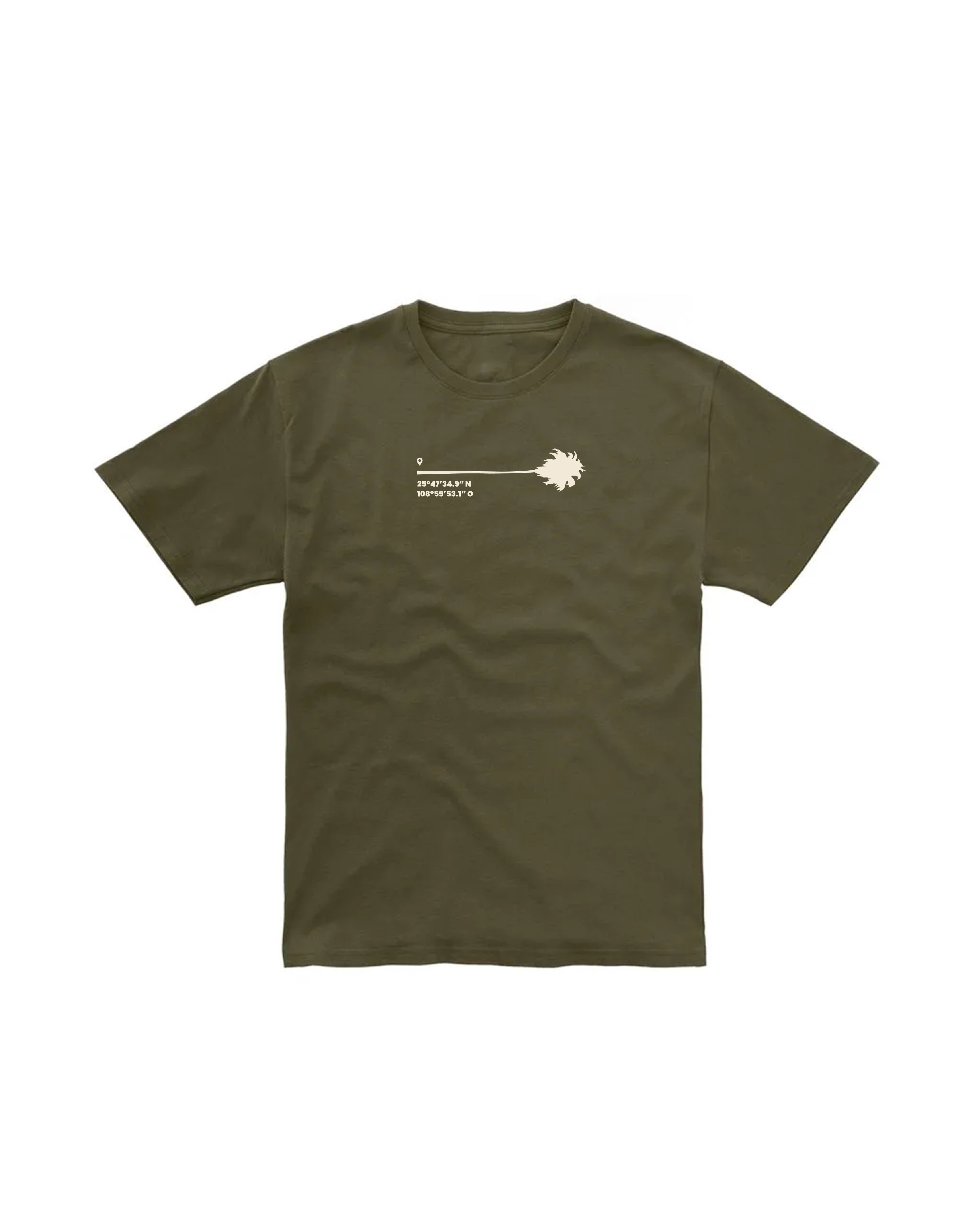 Playera Palm Coordinates