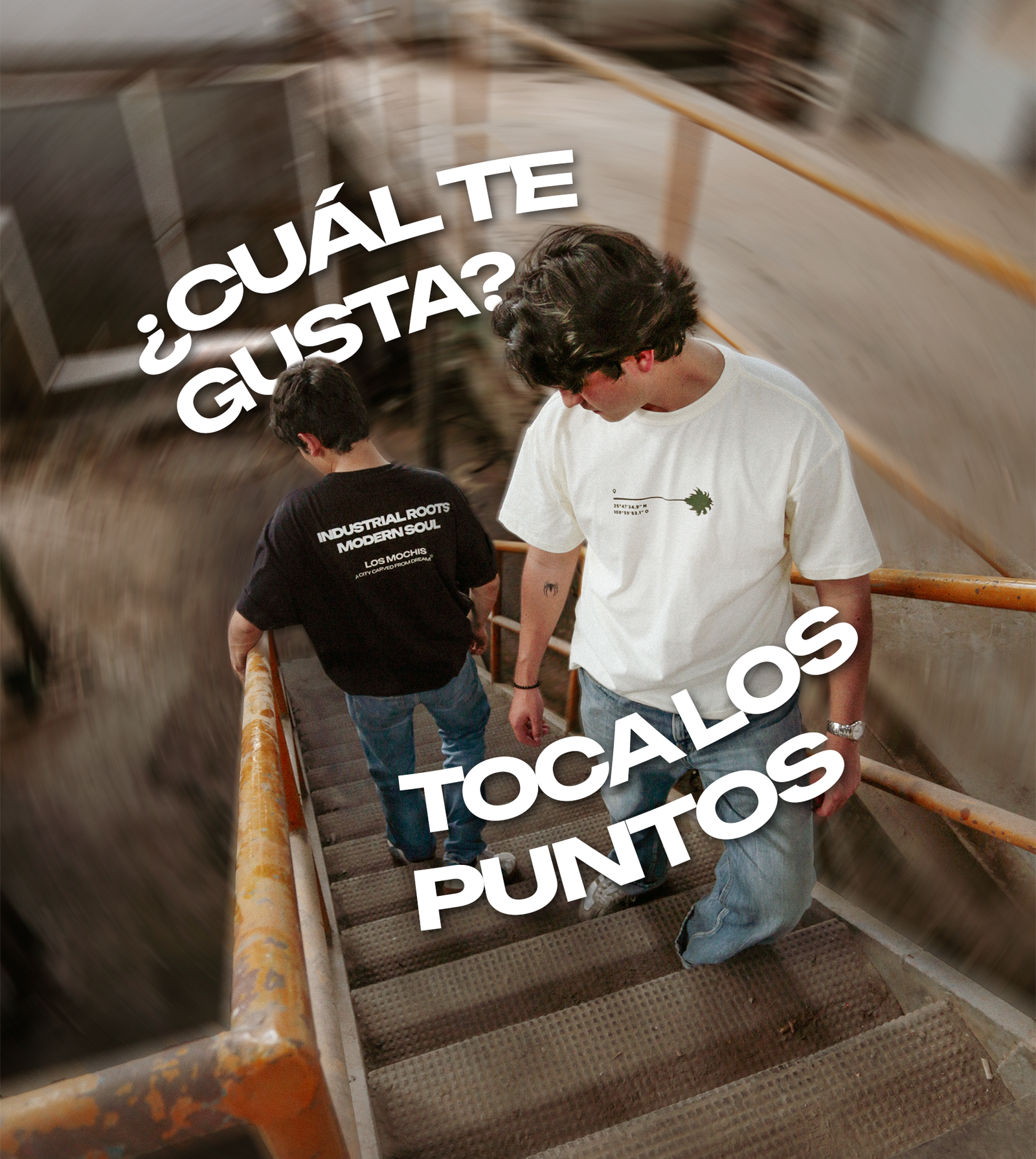 COMPRA POR ESTILO